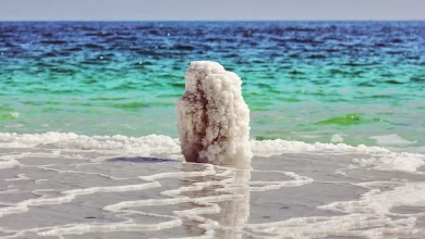 صور من البحر الميت