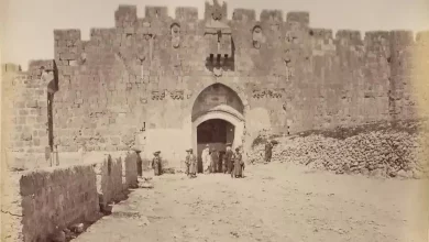 حلوة يا بلدي || فيديو قديم لمناطق متنوعة من فلسطين