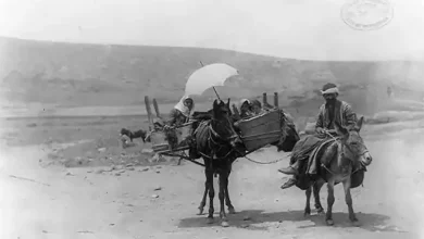 صور قديمة من فلسطين الحبيبة