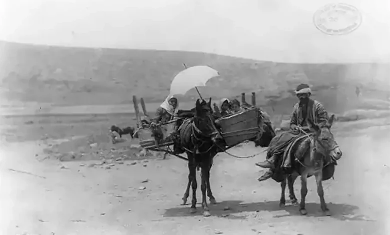 صور قديمة من فلسطين الحبيبة