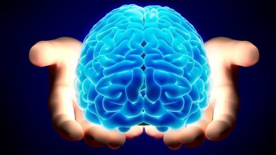 العلماء يكتشفون أخيرا مفتاح تشغيل المخ البشري