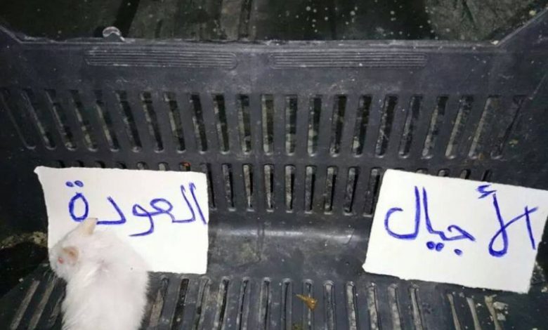 ظاهر جديده في كرة القدم في مخيم البداوي