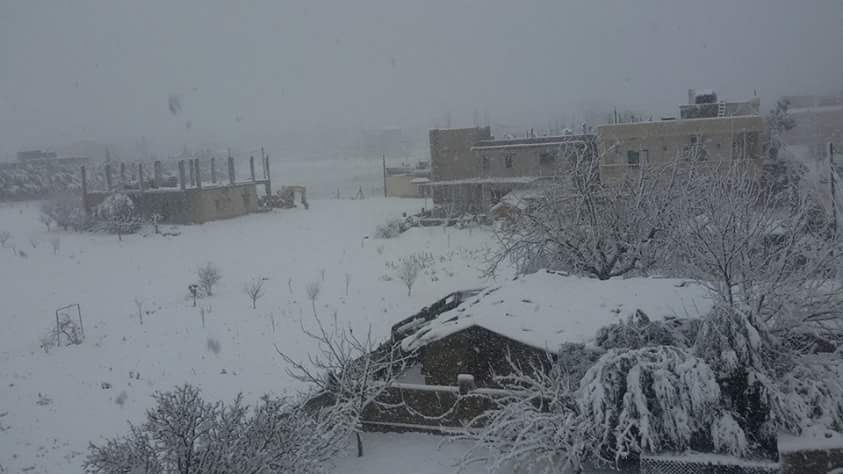 مخيمات لبنان في عين العاصفة زينة .. تقرير شامل عن الأضرار
