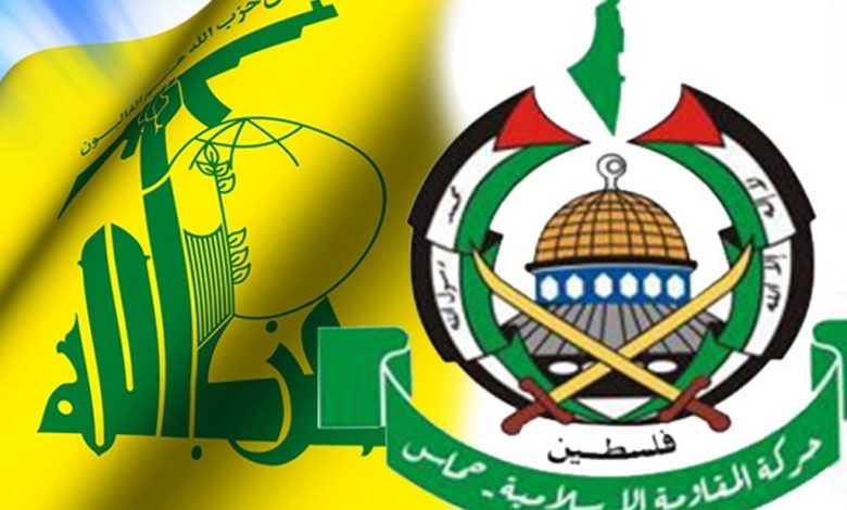 حزب الله ليس حماس