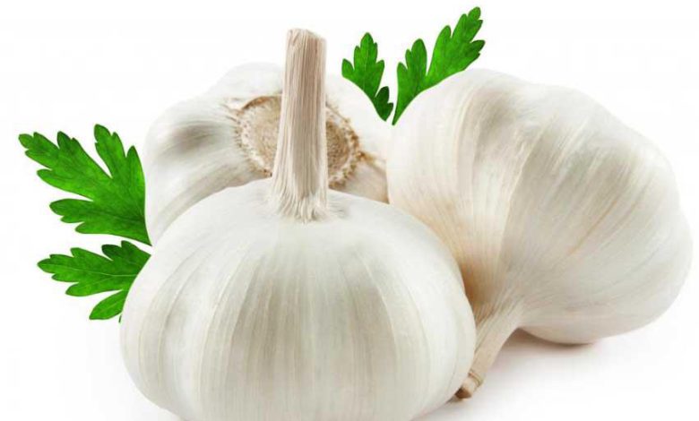 للثوم استعمالات كثيرة