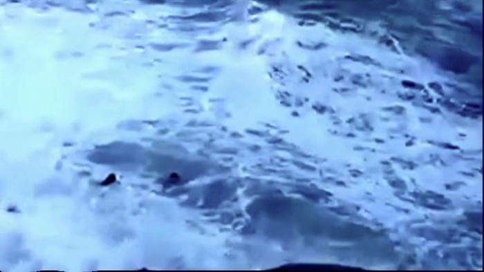 بالفيديو || سيلفي الأمواج القاتل في البرازيل