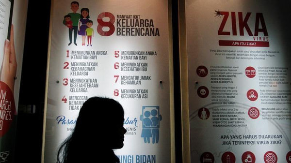 فيروس زيكا يتكاثر في خلايا البروستاتا لدى البشر