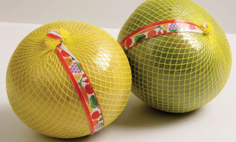 البوملي غنية بفوائدها الغذائية وسعراتها الحرارية القليلة