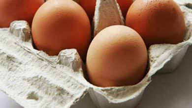 تناول بيضة يوميا تحمي من أمراض خطيرة