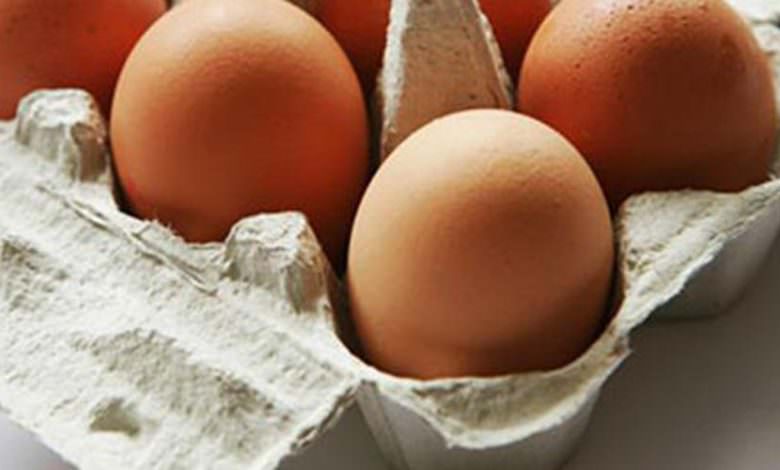 تناول بيضة يوميا تحمي من أمراض خطيرة