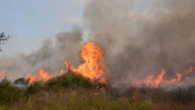 حرائق في غلاف غزة بفعل طائرات ورقية حارقة