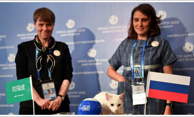 القط الأليف يتوقع فوز روسيا على السعودية في الافتتاح