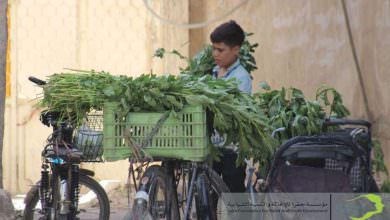 جفرا للإغاثة || توزّع محاصيل زراعية على نازحي مخيم اليرموك بجنوب دمشق