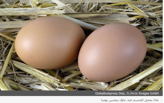 ماذا يحدث إذا تناول الإنسان البيض يوميا؟