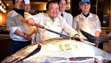 سمكة تونة ب3 ملايين $ في اليابان
