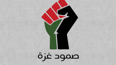 صمود غزة ومقاومتها بين النظرية والتطبيق ..!!
