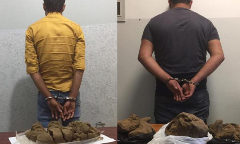 القوة المشتركة في عين الحلوة || العمل مستمر لكشف المزيد من أفراد شبكة العنكبوت