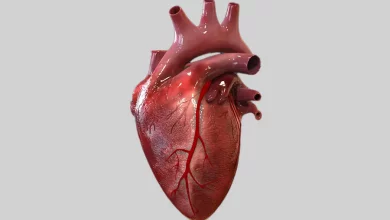 القلب - معطيات طبية جديدة || د. عاصم بلعاوي