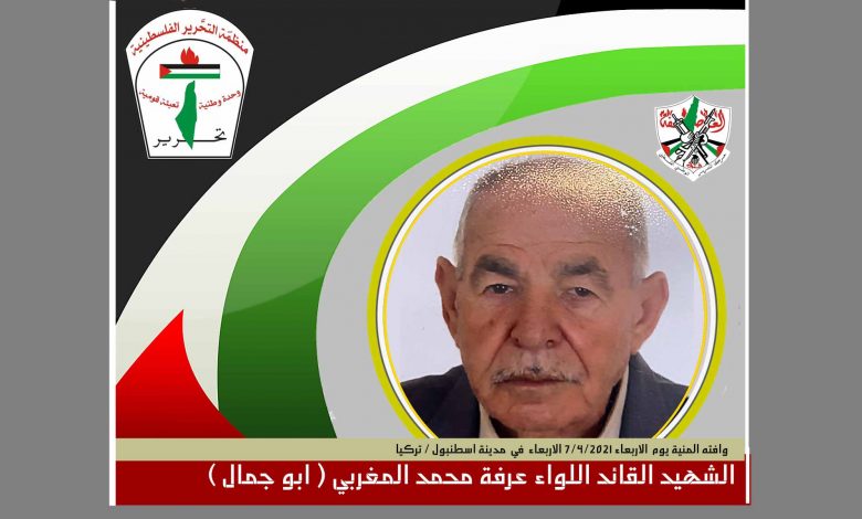 عرفه محمد المغربي