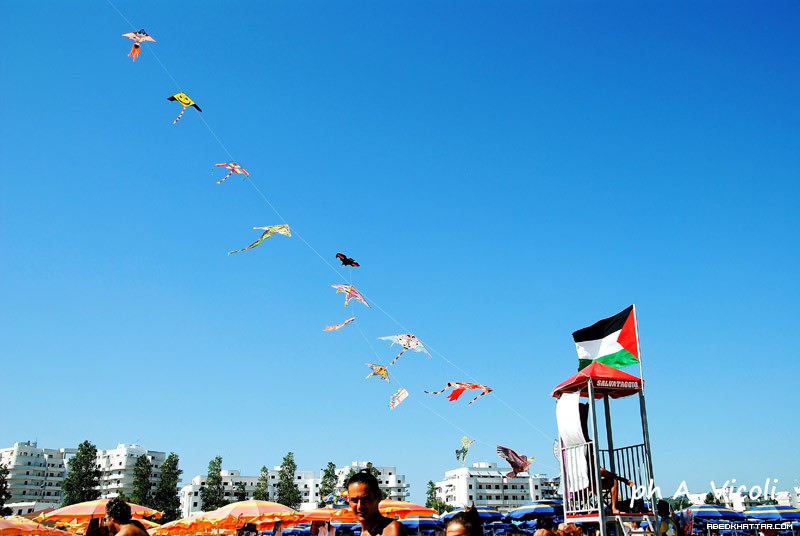 سلسلة بشرية على شواطئ إيطاليا تنديداً بالعدوان الاسرائيلي على غزة
